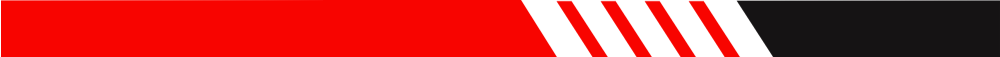 Section Divider